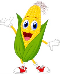 corn_11.jpg