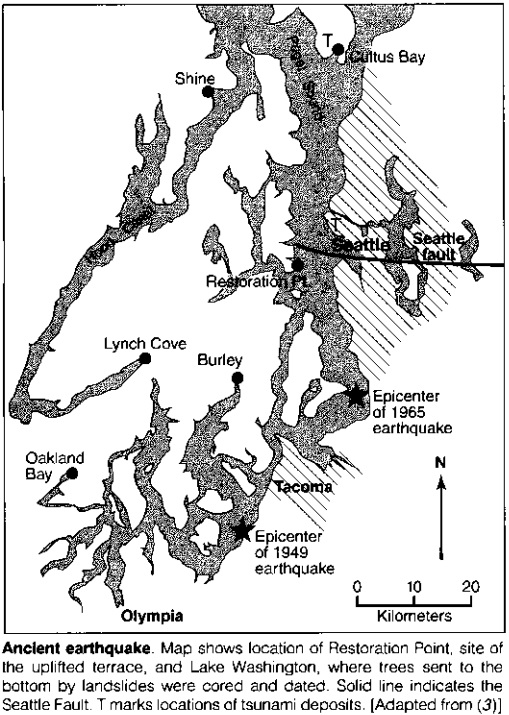 eq-10.jpg