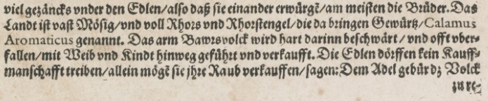 Münster's Cosmographia Universalis_7.jpg