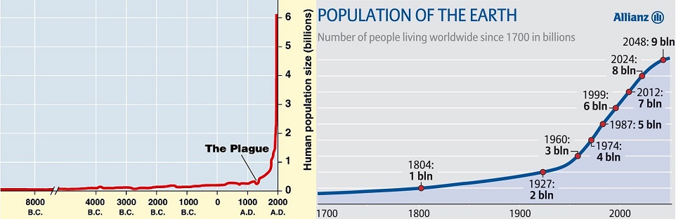 population_chart_1.jpg