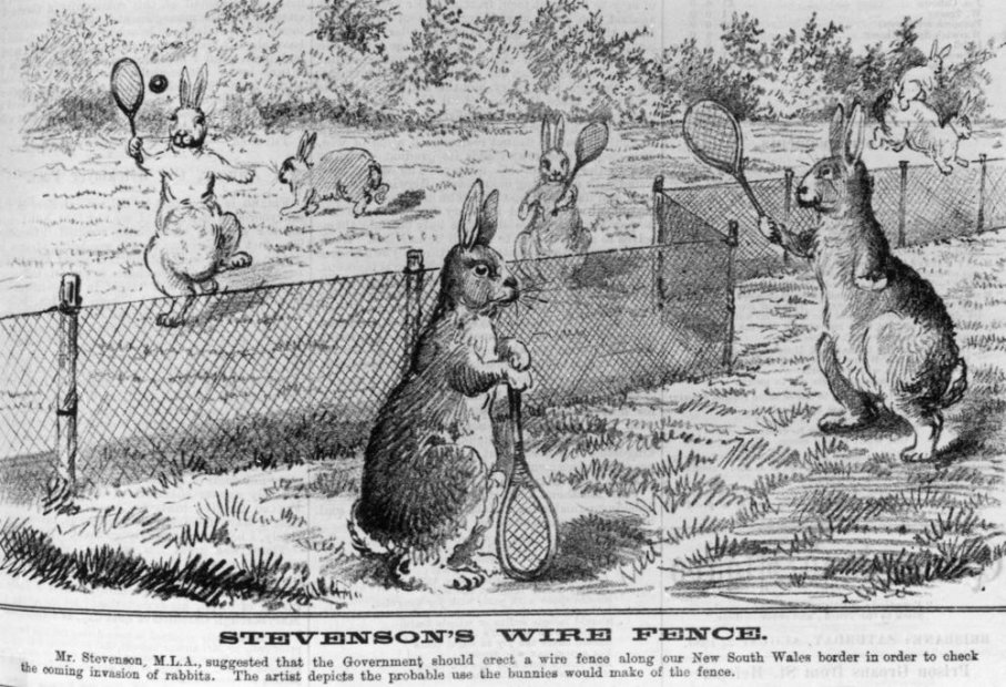 rabbit-proof-fence.jpg