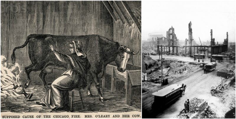the-great-chicago-fire-of-1871--was-caused-by-a-cow.jpg
